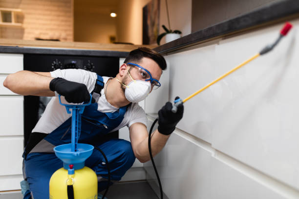Trusted East Freehold, NJ Pest Control Experts