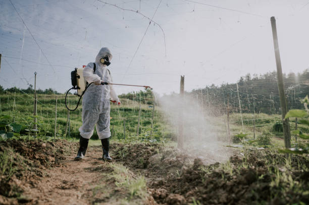 Best Commercial Pest Control Services  in East Freehold, NJ