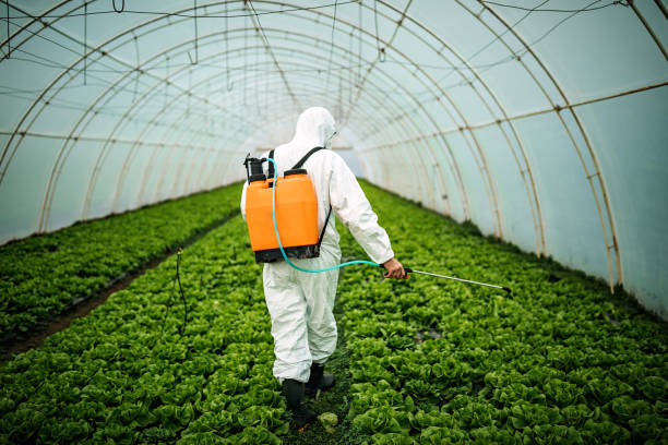 Best Affordable Pest Control Services  in East Freehold, NJ